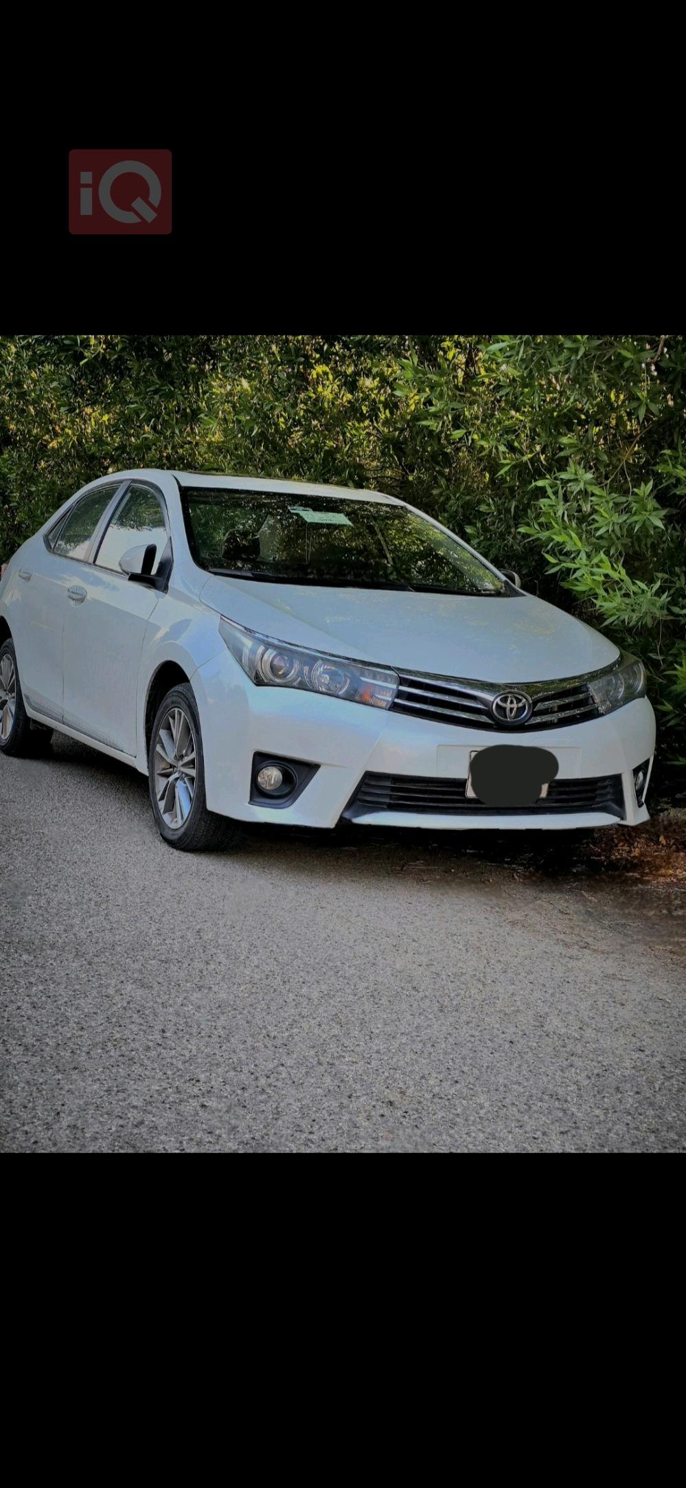 تويوتا كورولا